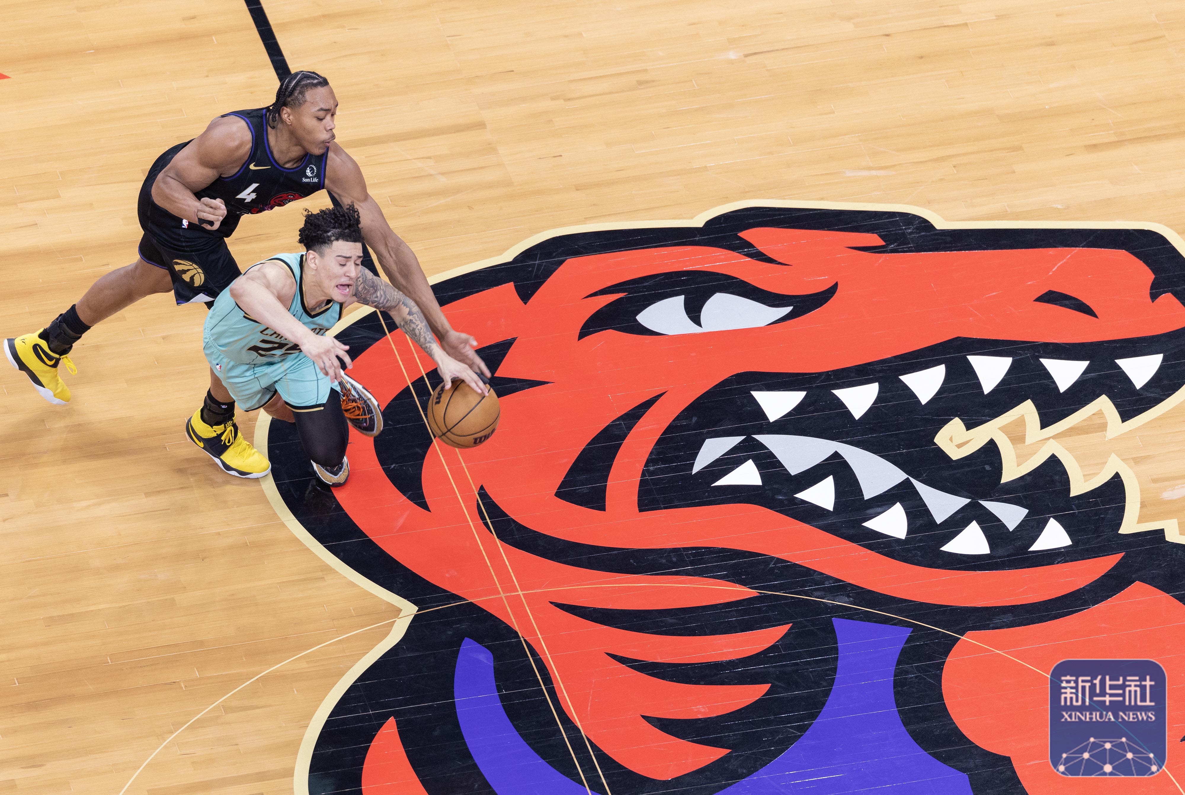 od体育入口-猛龙全队实力逆天,大胜活塞